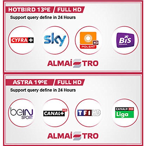 En Zylon-Seller le damos 12 meses cccam 1 año Europa 2 Clines para un perfecto funcionamiento suscripción HD Soporte España Alemán Polonia UK para todos los decodificadores …