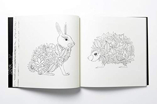 Enchanted Forest. An Inky Quest And Colouring Book