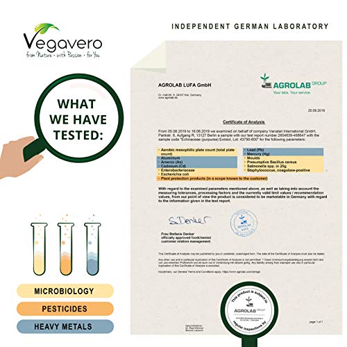 Equinácea Vegavero® | 6000 mg con 4% Polifenoles | La Dosis Más Alta & Sin Aditivos | Alternativa Vegana al Propóleo o la Jalea Rea | 120 Cápsulas