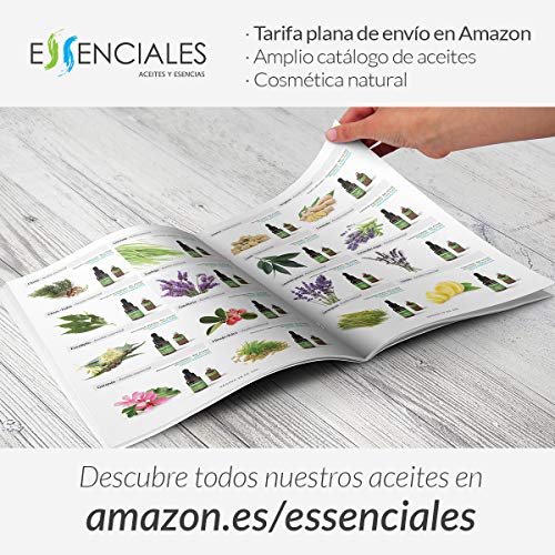 Essenciales - Aceite Esencial de Citronela, 100% Puro, 100 ml | Aceite Esencial Cymbopogon Winterianus