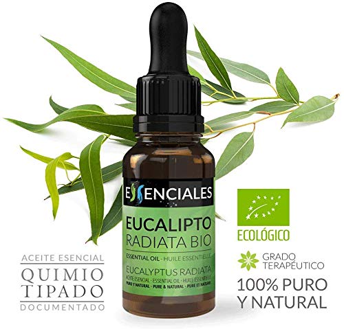 Essenciales - Aceite Esencial de Eucalipto Radiata BIO, 100% Puro, 10 ml | Aceite Esencial Eucalyptus Radiata Ecológico