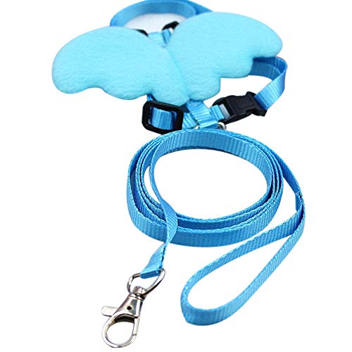 FHNLKFS Cute Angel Pet Dog Correas y Collares Set Puppy Leads para Perros pequeños Gatos Designer Ajustable Dog Arnés Pet Traction Rope-Azul M_España