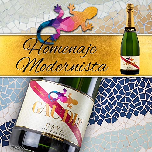 GAUDIr Cava Brut Nature - Producto Gourmet - Cava para regalo - Pack de Cava - Edición Especial Homenaje Modernista Ciudad de Barcelona siglo XIX - Vegano – 6 botellas x 750 ml.