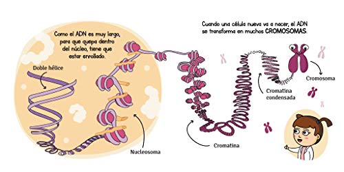 Genética (Futuros Genios): La ciencia explicada a los más pequeños