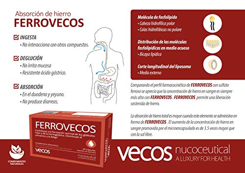 Hierro con ácido fólico y tecnología liposomial de alta biodisponibilidad para proteger de la irritación intestinal – Vitaminas A, B6, B12 y C para una mayor absorción –Aptas para Veganos– 30 cápsulas