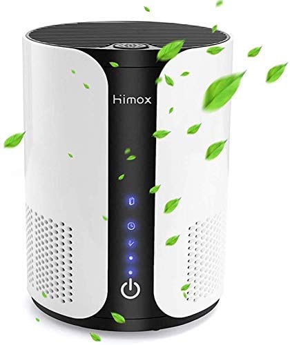 HIMOX Purificador Aire Hogar, Purificador de Aire para Mascotas Alergias con Iónes negativos, Aromaterapia, Ture Filtro HEPA y Filtro de Carbón Activo, Captura de Polen, Humo, Olores