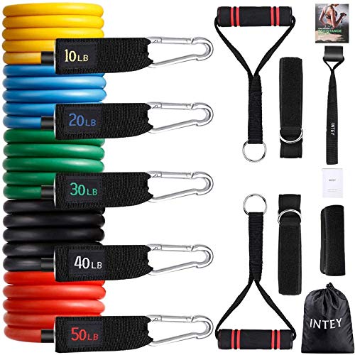 INTEY Bandas Elásticas, 13 PCS Látex Bandas de Resistencia - 5 Tubos de látex/Cubierta Protectora/Manijas/Ancla de Puerta/Correas de Tobillo/Bolsa de Transporte