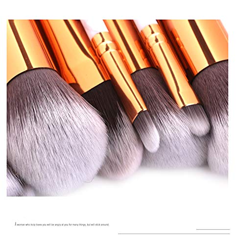 Jingya 10 Piezas de Maquillaje Conjunto Cepillo patrón de mármol Cepillo de Maquillaje para Polvo Rubor Corrector Crema o Productos minerales Bolsa de Maquillaje de Viaje Incluido