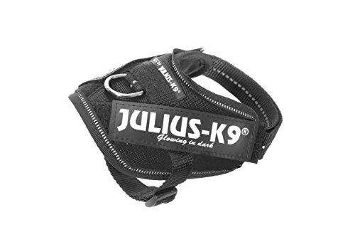 Julius-K9 16IDC - Power Harness