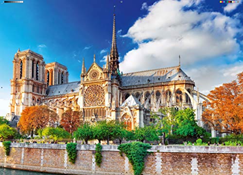 King City Collection Notre Dame Paris 1000 pcs Puzzle - Rompecabezas (Puzzle Rompecabezas, Paisaje, Adultos, Hombre/Mujer, 8 año(s), Cartón)