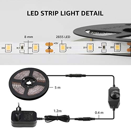 LE LED Luces de Tiras Regulables, 5M 1200lm, Blanco Frío 6000K, 300 LEDs, Enchufe en la tira de luz para gabinete, armario y más, Incluido Fuente de alimentación de 12V y regulador de intensidad