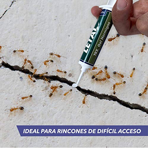 Letal TRX Gel Insecticida Hormigas - Cebo Mata Hormigas para Uso Doméstico de Zotal, Pack de 20 Gramos en Total. Elimina Colonias de Hormigas Que se Alimentan de Azúcares, Evitando su Proliferación