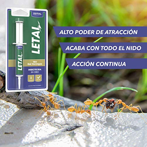 Letal TRX Gel Insecticida Hormigas - Cebo Mata Hormigas para Uso Doméstico de Zotal, Pack de 20 Gramos en Total. Elimina Colonias de Hormigas Que se Alimentan de Azúcares, Evitando su Proliferación