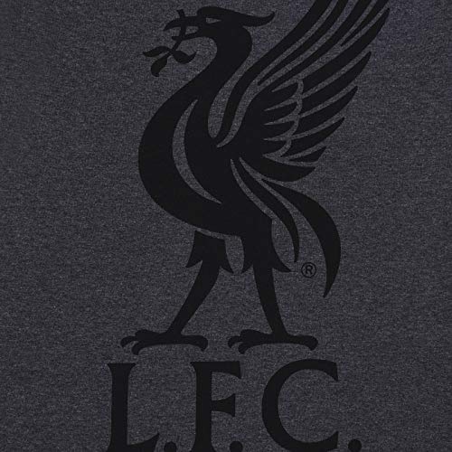 Liverpool FC - Pijama Corto para Hombre - Producto Oficial - Gris - XL