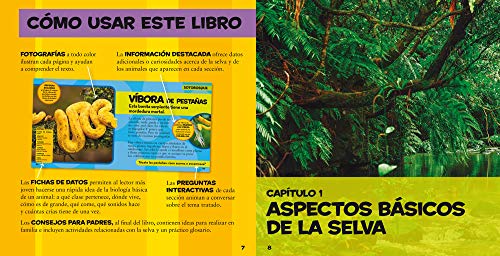 Mi primer gran libro de la selva (NG KIDS)