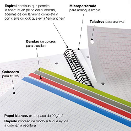 MIQUELRIUS - Cuaderno A4 Puntos Notebook Emotions - 1 franja de color, 80 Hojas con rayado punteado (Dots), Papel 90g Microperforado con 4 Taladros para 4 anillas, Cubierta de Cartón Extraduro, Color