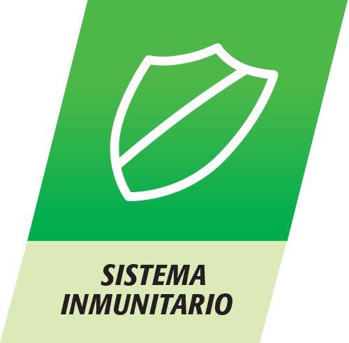 Multicentrum, Complemento Alimenticio con 13 Vitaminas y 11 Minerales, para Adultos y Adolescentes a partir de 12 años - 30 Comprimidos