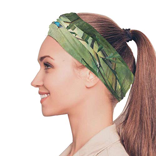 N/A Secrets Sea Ocean Headband Womens Bandana Multifunctional Mens Balaclava, Neck Warmer, Face Mask, Headwear Aliceband