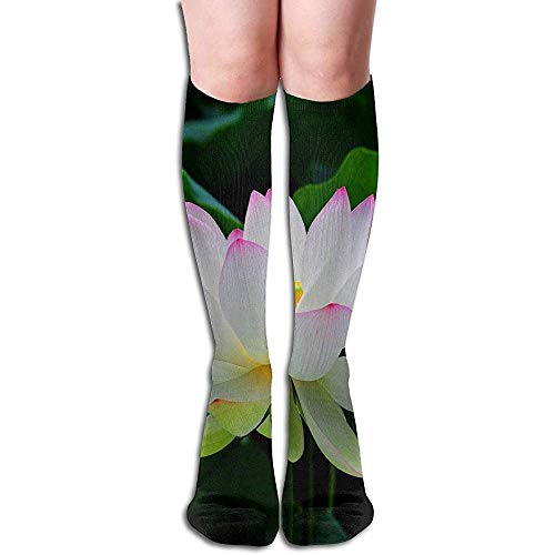 Not Applicable Calcetines Secrets Sea Ocean Fantastic Accesorio Calcetín Womens Stocking Girls Calcetines 50Cm