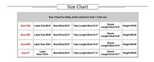 PAOLIAN Conjuntos para bebé niñas Camisetas + Tirantes de Pantalones Corta Verano 2018 Impresion de Rayas Volantes Bolsillo Peleles para bebé niñas de 12 Meses 18 Meses 24 Meses 3 años (18M, Rosa)