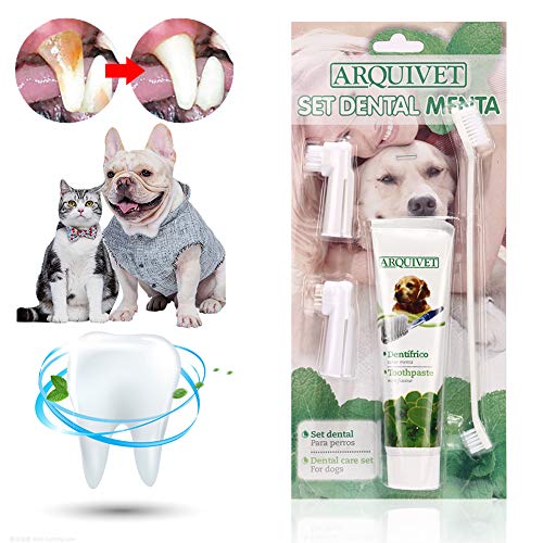 Pasta Dental Perros, Dog Toothpaste, Cepillo de Dientes para Perro, Cuidado Dental para Perros y Gatos, Mejorar la Higiene Oral Previene la Enfermedad de Las Encías y la Placa, Refrescar el Aliento