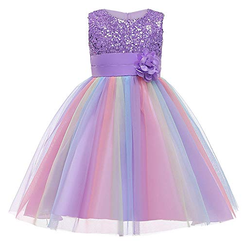 Princesa Niñas Vestir Ropa Disfraces Halloween Niños Malla Vestidos Faldas Trajes Flor-púrpura_130cm