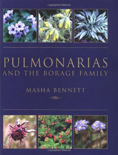 Pulmonarias and the Borage Family