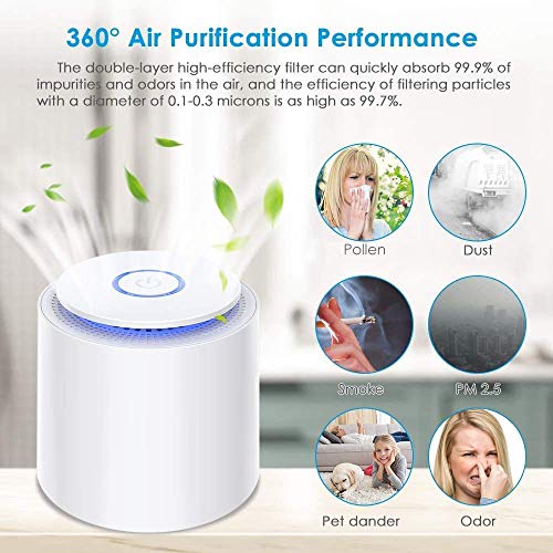 Purificador de Aire - Generador De Ozono y Air Purifier - Neutralizador de  Olores e Ionizador de Aire - Eliminador de Bacterias y Antitabaco para  Hogar - Purificador de aire para mascotas 