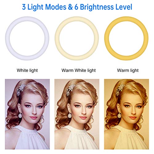 Queta Aro de Luz Trípode LED, Anillo de Luz 7 Colores RGB de 10" 2 Modo 10 Brillo Ajustable con Control Remoto Inalámbrico para Selfie Fotografía Youtube Maquillaje para Móvil, Tripode Ajustable 1.7m