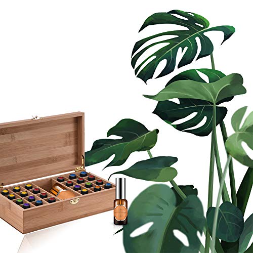 RoseFlower Caja de Almacenaje de Madera de Aceites Esenciales y Aromaterapia, 25 Botellas Aceite Contenedor Cubos de Almacenaje Organizadores para Perfumes, Fragancias, CosméTica, Joyas #1