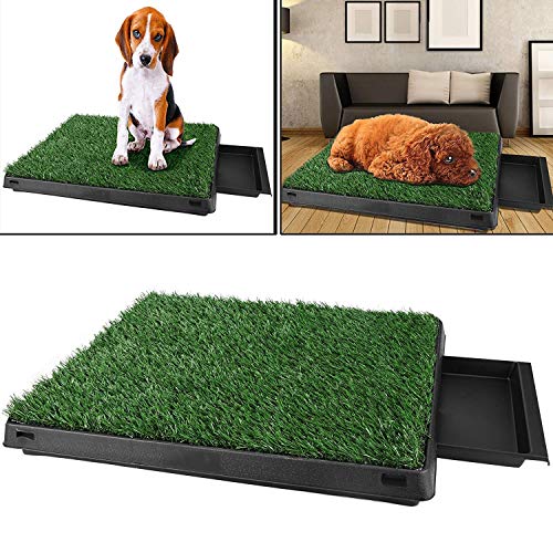 Sailnovo Inodoro para Mascotas Perro Césped Interior Orinal Perro Almohadilla de Entrenamiento de Hierba para Animal Doméstico(63 x 50 x 7 cm)