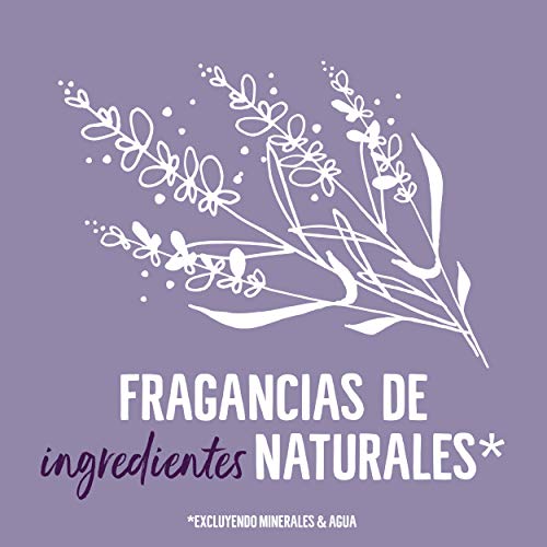 Seventh Generation Lavender Flower & Mint - Lavavajillas a Mano, 0% fragancias sintéticas y colorantes, 5 Recipientes de 500 ml, Total: 2500 ml