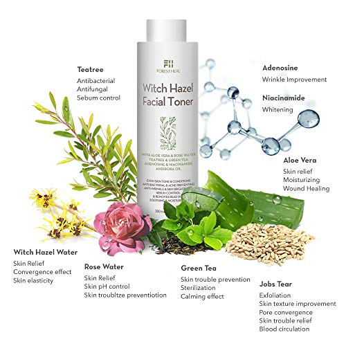 Tónico Facial Natural de Hamamelis, Sin Alcohol, con Aloe Vera, Agua de Rosas, Té Verde, Tónico y Humectante Facial Natural Sin Perfume Forest Heal, Tónico para la Piel de 10,14 oz / 300 ml