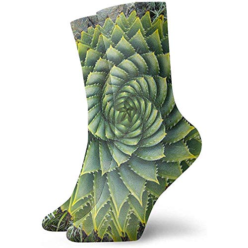 Vince Camu Calcetines De Tubo Casuales,Calcetines Cortos,Mujer/Hombres Calcetines De Deporte,Fractal Aloe Flowers 30CM Calcetines Clásicos Calcetines Calcetines De Fútbol