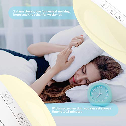 2020 WIFI Radio Reloj Despertador Digital Wake Up Light, Amanecer Simulación de Amanecer y Anochecer, 30 Niveles de Brillo, Función Snooze, 10 Sonidos, Control por voz, Admite Alexa Echo y Google Home