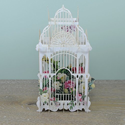 3D Flower Cage Birthday Card by Paper d'Ar