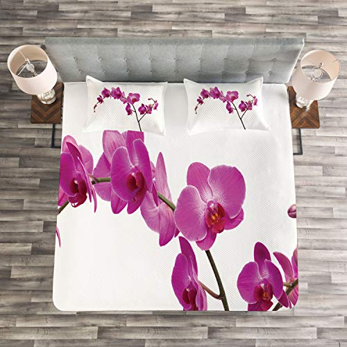 ABAKUHAUS Magenta Cubrecama, Orquídea Salvaje Pétalo Rama Flor Romántica Exótica Planta Naturaleza Estampa Arte, Lavable Colores Firmes, 264 x 220 cm, Violeta