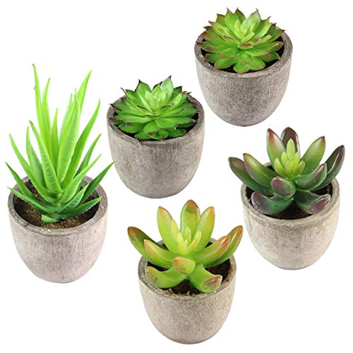 Abree Plantas Suculentas Artificiales 5PCS Jardinera Suculenta Falso Plantas de Cactus Faux Pequeñas con Macetas de Color Gris para la Decoración de la Oficina en el Hogar