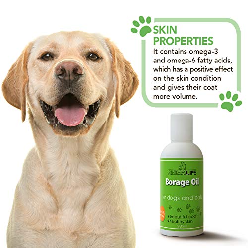 Aceite de Borraja 250ml para Perros & Gatos - 100% Natural Producto para Mascotas - Rico en ácidos Grasos Insaturados (Omega 3 6 9) - Ideal para Pelo - Borago Oil for Pets