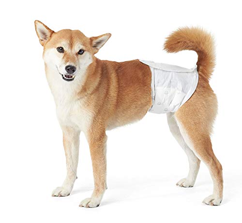 AmazonBasics - Pañal desechable para perro macho, L, paquete de 30 unidades