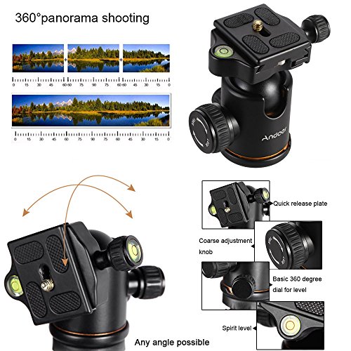 Andoer Q666 Trípode Completo Trípode Reflex Portátil 156cm para DSLR Cámara Canon Sony Nikon, Trípode 2-en-1 Monopod Photocamera Aleación de Aluminio con Cabeza de 360° Bola, Bolsa de Transporte