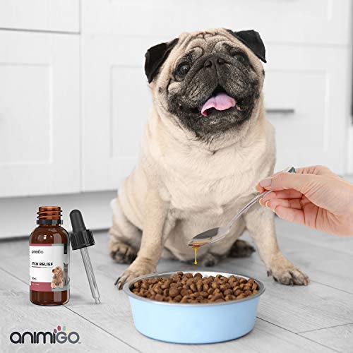 Animigo Anti Picor para Perros y Gatos | Suplemento Natural Líquido para Picores, Irritaciones y Síntomas de Alergia causados por Césped, Polen, Comida | con Ginkgo, Eufrasia y Ortiga | Gotero 50ml