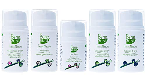 BenePura Crema Facial De Cannabis 50 ml-Ultra Hidratante y Nutritivo-Contra las Arrugas, Adecuado para Pieles Grasas-Sin Pruebas en Animales,Libre de Parabeno,Sin Gluten, Vegano, Hecho a mano en la UE