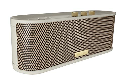 BOSS Altavoz Bluetooth BTM-1 con entrada de guitarra