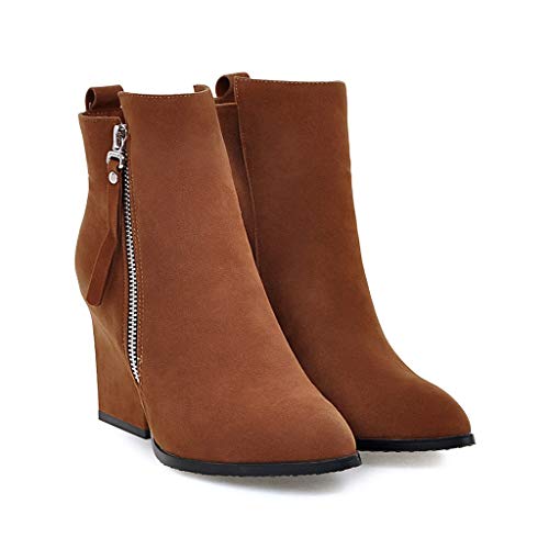 Botas para Mujer Invierno Tacón Ancho Alto PAOLIAN Botines Biker Tobillo Mujer Cuña Otoño Botas Cortas Piel Sintético con Cremallera Zapatos Mujer Vestir Terciopelo Fiesta Elegantes