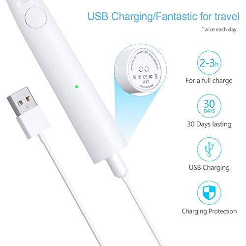 Cepillo de Dientes Eléctrico, BESCHOI Cepillo Dental Electrico Sónico Recargable con 6 Cabezales 5 Modos Impermeable IPX7 Carga Magnética USB, Blanco