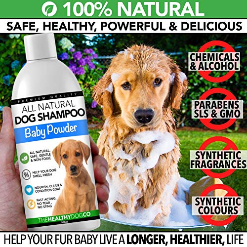 Champú para perro completamente natural olor a polvos de talco para bebé | 500ml | Champú perfumado para acicalar a su perro | El mejor champú para mascotas para un lavado sano, seguro y sin picazón