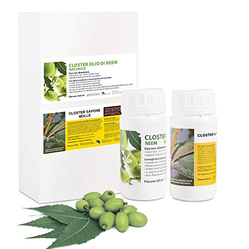 CLOSTER® Set Jabón Potasico y Aceite de Neem para Plantas Insecticida Natural Mosquitos Chinches Pulgones Cochinilla Piojos Desinfestante Biodegradable Efectivo sin Residuos Ecológico (2x250ML Puro)