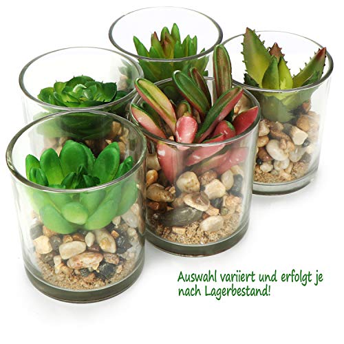 com-four® Planta Artificial 5X - en Vidrio Decorativo - suculentas Artificiales - decoración de Mesa - decoración de alféizar de Ventana [la selección varía] (05 Piezas - Talla S - Vidrio)