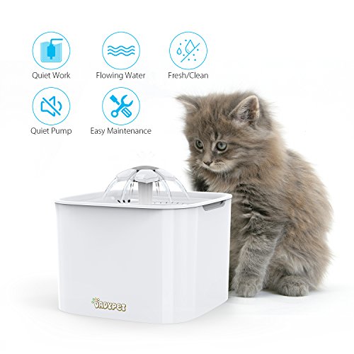 DADYPET Bebedero Gatos, Fuente silencioso para Gatos 2L Bebedero Automático Fuente de Agua para Mascotas Gatos Perros 3 Modos Ajustable con 2 Filtros de Carbón Activado (Blanco)